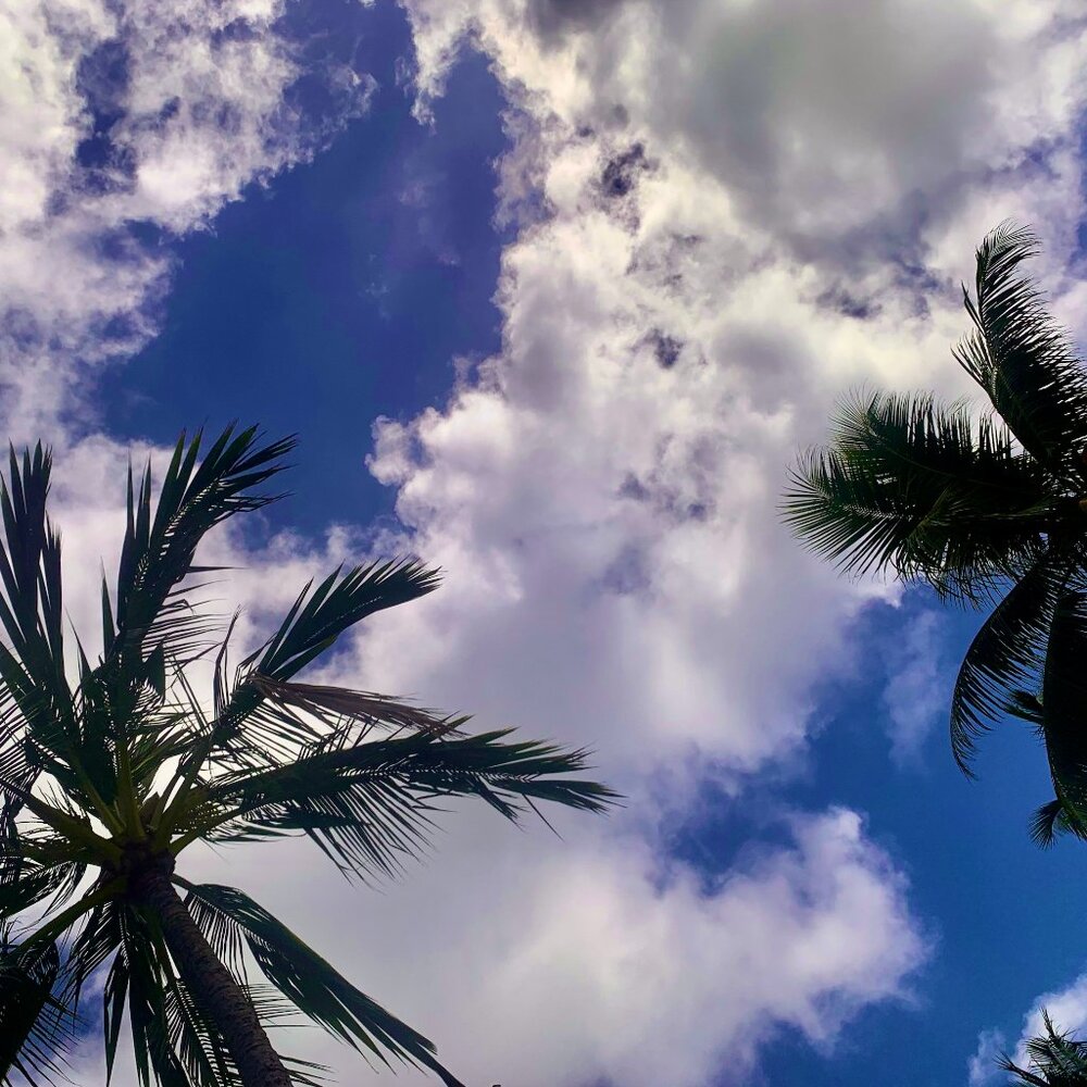 Meet your Posher, Lea